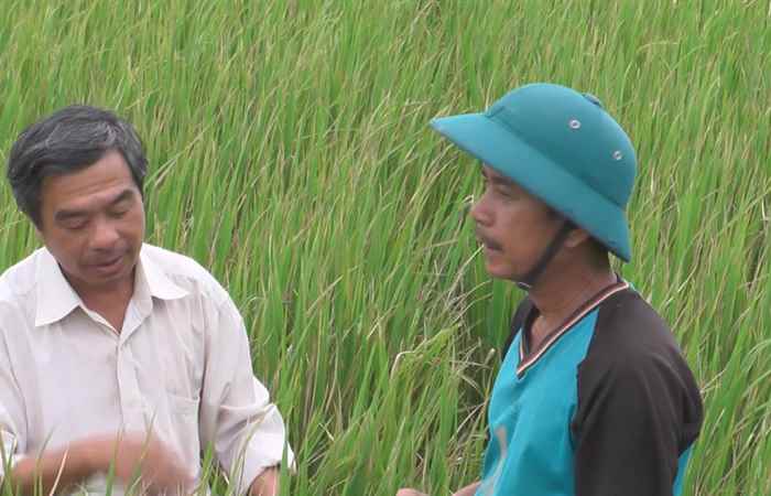 Trang tin địa phương huyện Thạnh Trị 13-08-2017
