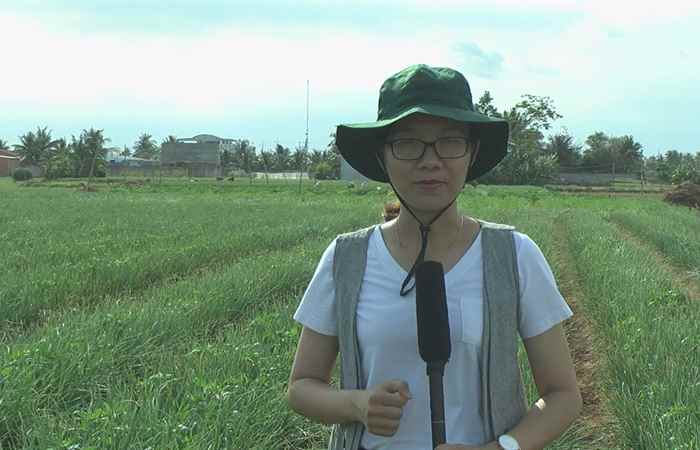 Trang tin địa phương thị xã Vĩnh Châu 06-01-2019