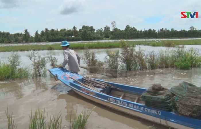 Trang địa phương - TX Ngã Năm 01-10-2017