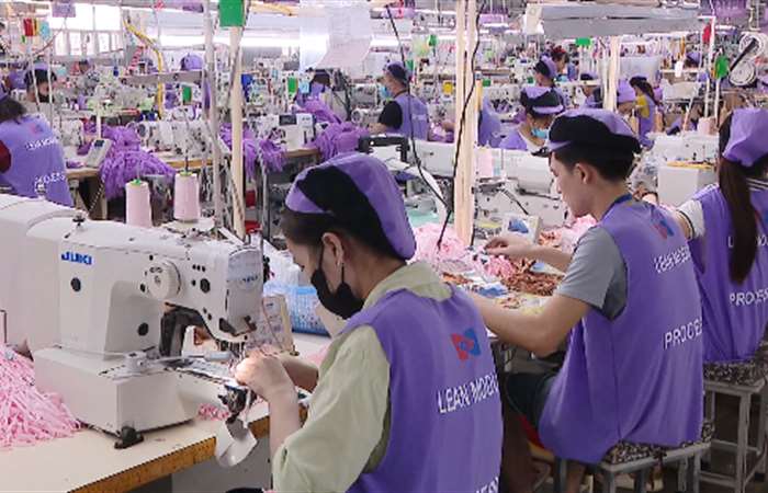Từ ngày 1-7, có gần 50 khoản phí và lệ phí được giảm 50%